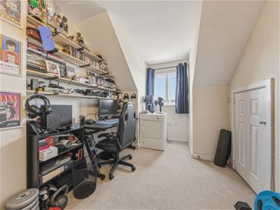 Picture 24